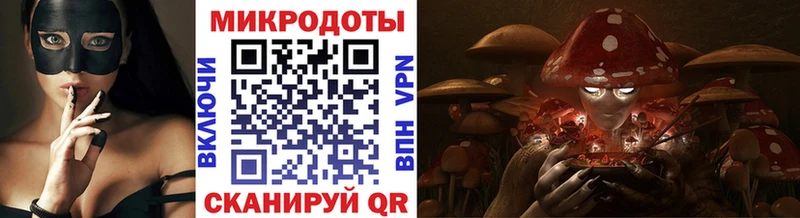 Псилоцибиновые грибы Psilocybe  Шадринск 